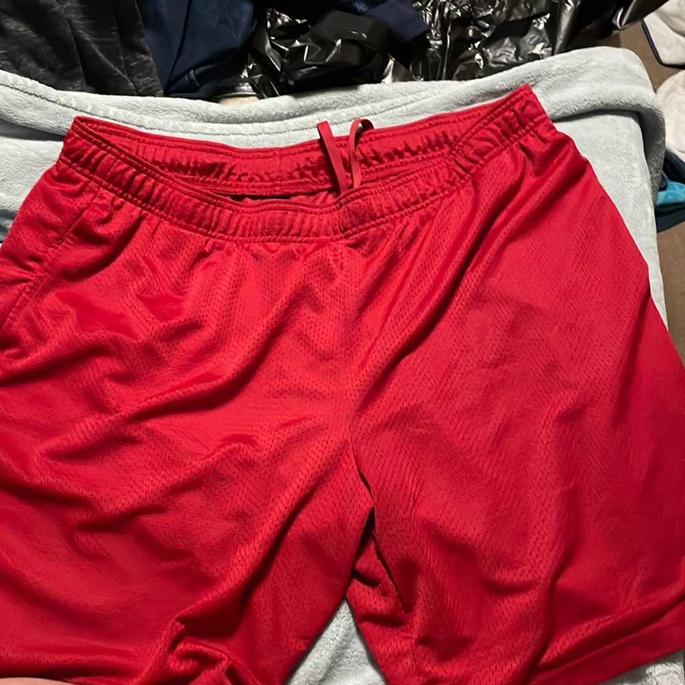 Athletic shorts 2XL Men’s Condition Very Good